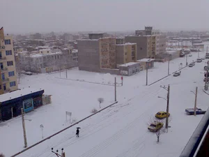 خوابگاه دانشجویی سحر و کاکتوس