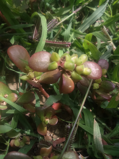کتابخانه عمومی فردوسی