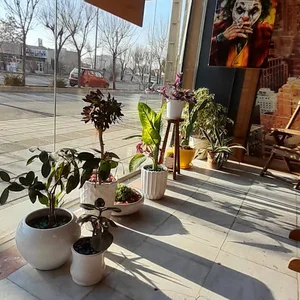 املاک کلبه سبز