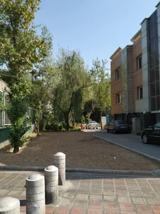 بوستان سپیدار
