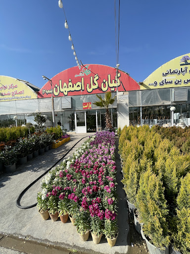 کیان گل اصفهان