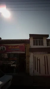 پوشاک صدف