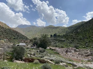 دیونی