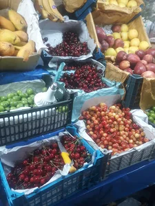 میوه فروشی کریمی