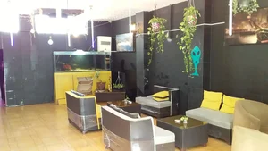 کافه هوکا 4