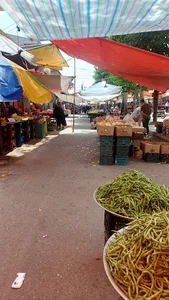 بازار روز خشکبیجار