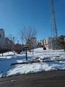 پارک خیابان نوبهار
