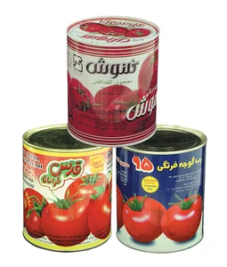 container corporation of iran