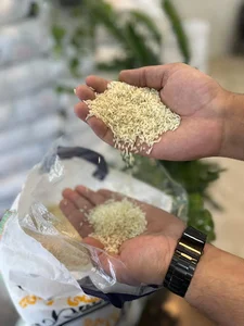 فروشگاه برنج داریوش نژاد