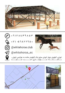 باشگاه سوارکاری اسب سفید