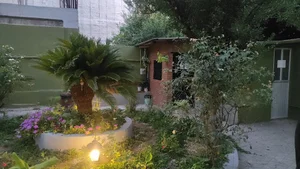 آموزشگاه موسیقی سونات