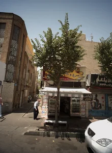 مرغ و ماهی نمونه 2
