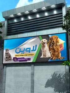 الی پت