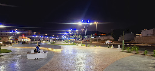 ممشى السد