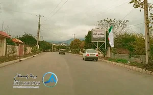 شیرینی سرای شاخه نبات