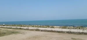 هتل نیلوفر آبی