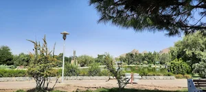 دریاچه زیتون