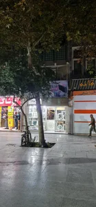 نقره فروشی فدوی 3