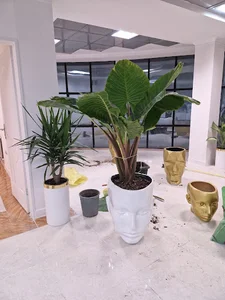 مرکز زیبایی ساغر