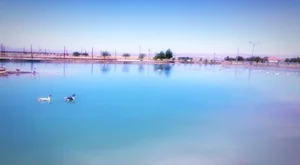 منطقه نمونه گردشگری پردیس جهرم
