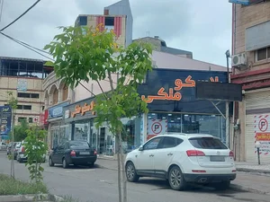 پلاسکو ملکی 2