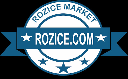فروشگاه اینترنتی رزآیس