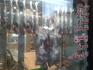 فراورده های پروتینی گسترش