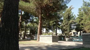پارک کانون