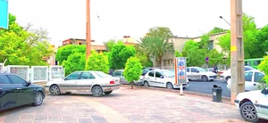 بخش آمار دانشکده علوم دانشگاه شیراز