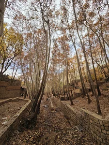 مسیر جنگلی آبشار قلات