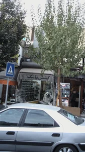 کفش پانیک