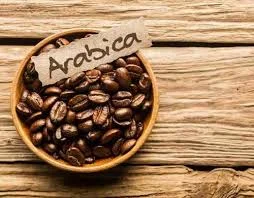 roastery_lema