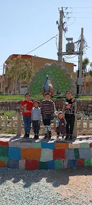 بوستان رسانه
