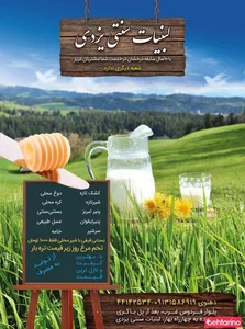 لبنیات سنتی یزدی 4