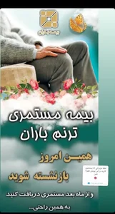 املاک تهرانی ( شعبه ۲ ) 3