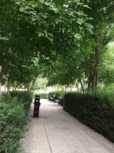 قبرستان و گلزار شهدای محمودیه