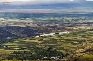 پرورش ماهی طبیعی رضاپور