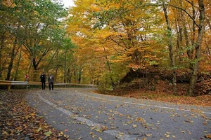 جنگل النگدره