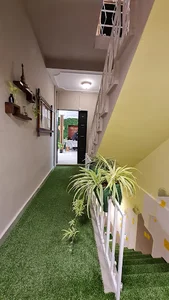 آموزشگاه موسیقی وزیری