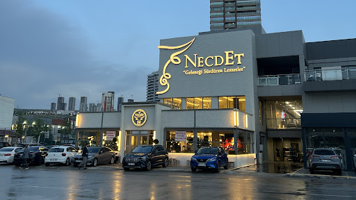 Necdet Beytepe