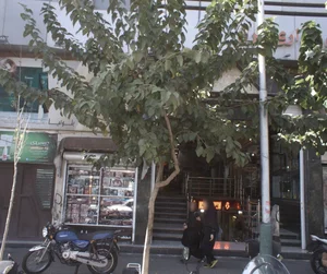 فروشگاه پوشاک 2