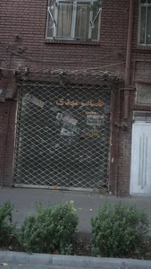 طایر مهدی 3