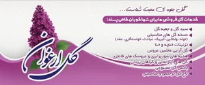 گل ارغوان 5
