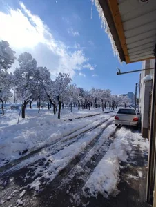 بوستان نغمه 4