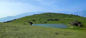 طبیعت گلدیان