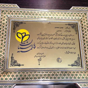 بیمه پارسیان