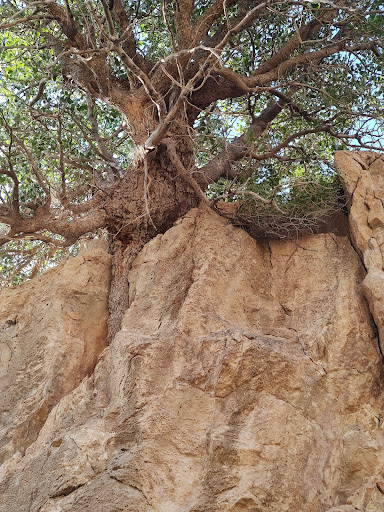 غار خورشید