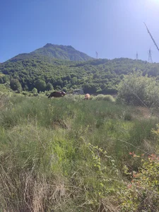 روستای اجت