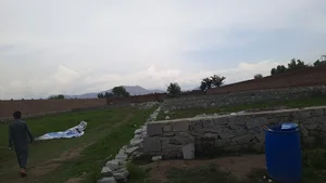 د زاهدالله صافی کور