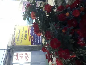 شرکت تاکسی هوشمند کب همدان(آژانس رهرو)